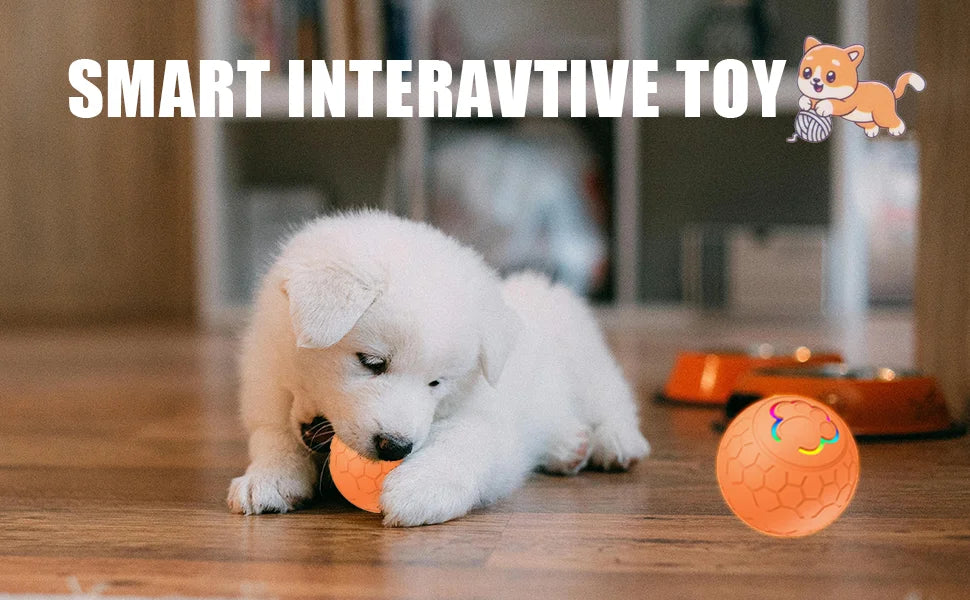 Active Roling Ball for Dogs - 2.2" Sturdy Motion Actived Interactive Dog Ball for Puppy/Small/Medium Dogs, USB Rechargeable Ball