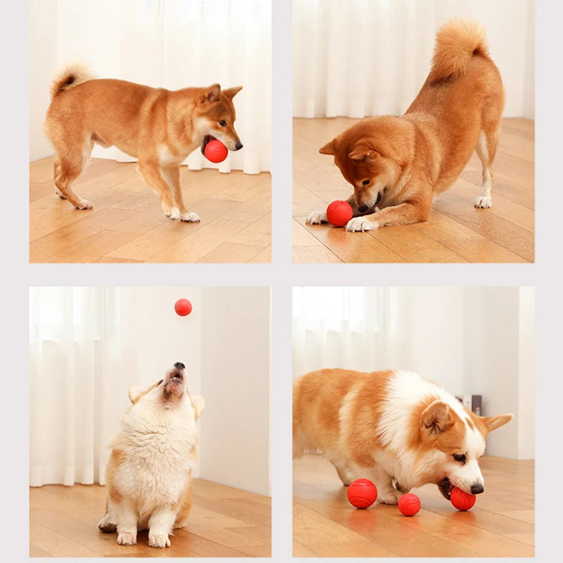 S-XL Sizes Solid Rubber Balls Bouncy Ball Bite Resistant Indestructible Dog Training Interactive Ball Pet Toy Molar Ball