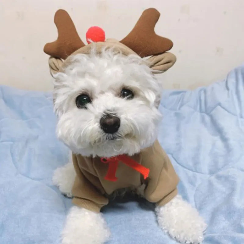 Cosplay Pet Clothes Dog Hoodies Clothing For Small Dog Coat Jacket Puppy Cat Costume Chihuahua Yorkie Clothes