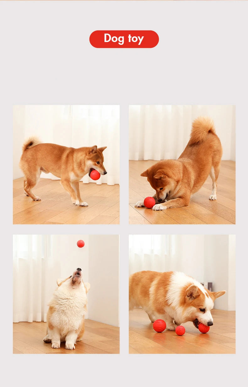 S-XL Sizes Solid Rubber Balls Bouncy Ball Bite Resistant Indestructible Dog Training Interactive Ball Pet Toy Molar Ball