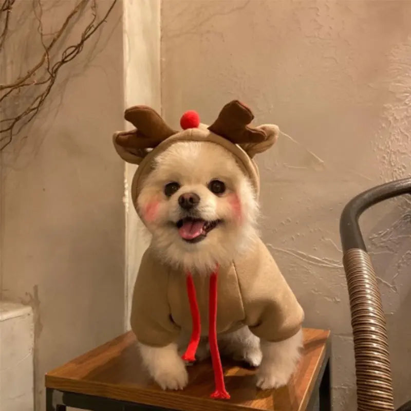 Cosplay Pet Clothes Dog Hoodies Clothing For Small Dog Coat Jacket Puppy Cat Costume Chihuahua Yorkie Clothes