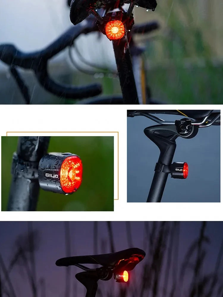 New Bicycle Smart Brake Tail Light MTB Road Bike Auto Brake Sensing Light USB Rechargeable IP66 Waterproof LED Warning Rear Lamp