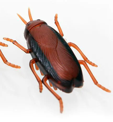 Mini Electric Bug Pet Dog Cat Toy Interactive Cute Ladybird Beetle Animal Shape Cat Toys Walking Insect Cat Playing Supplies