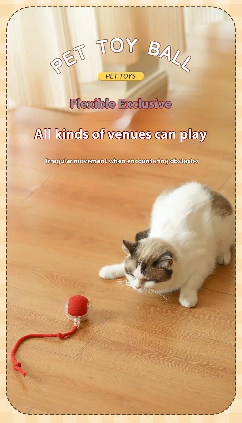 Cat Interactive Ball Toy Automatic Rolling Ball Faux Tail Rechargeable Smart Pet Electric Toy Dog Cat Training Imitate Mouse