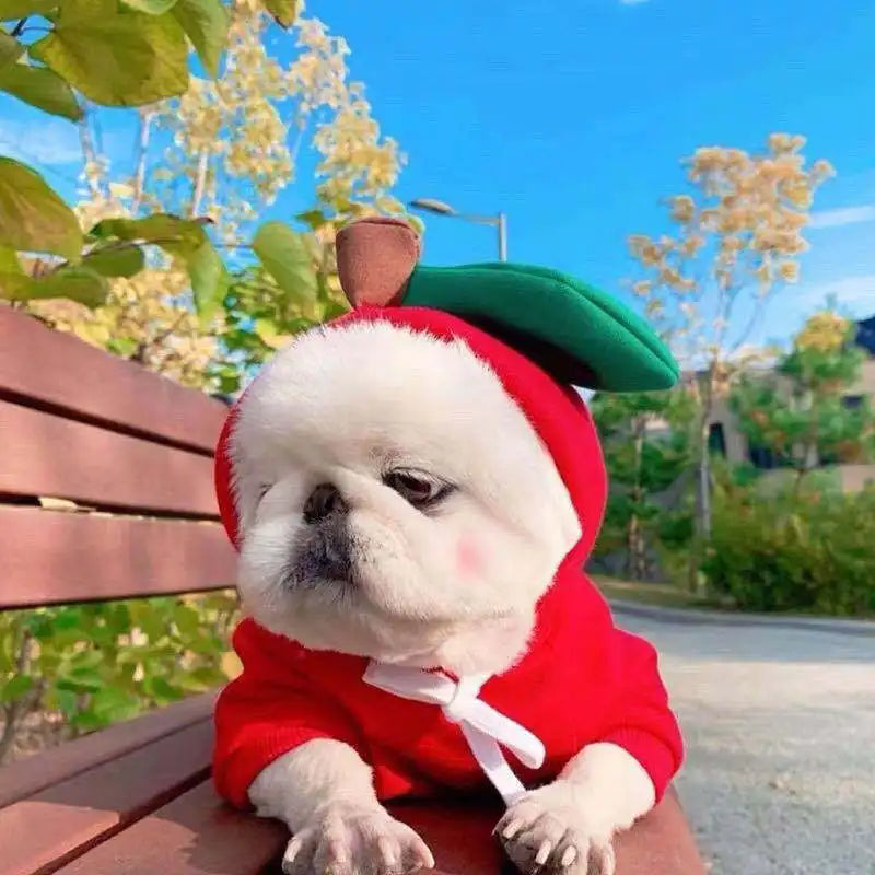 Cosplay Pet Clothes Dog Hoodies Clothing For Small Dog Coat Jacket Puppy Cat Costume Chihuahua Yorkie Clothes