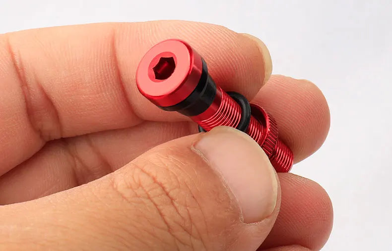Deemount 2PCS Bicycle Tubeless Schrader Nipple A/V Valves Brass Core CNC Machined Anodized for MTB Road Bike Tubeless Rims