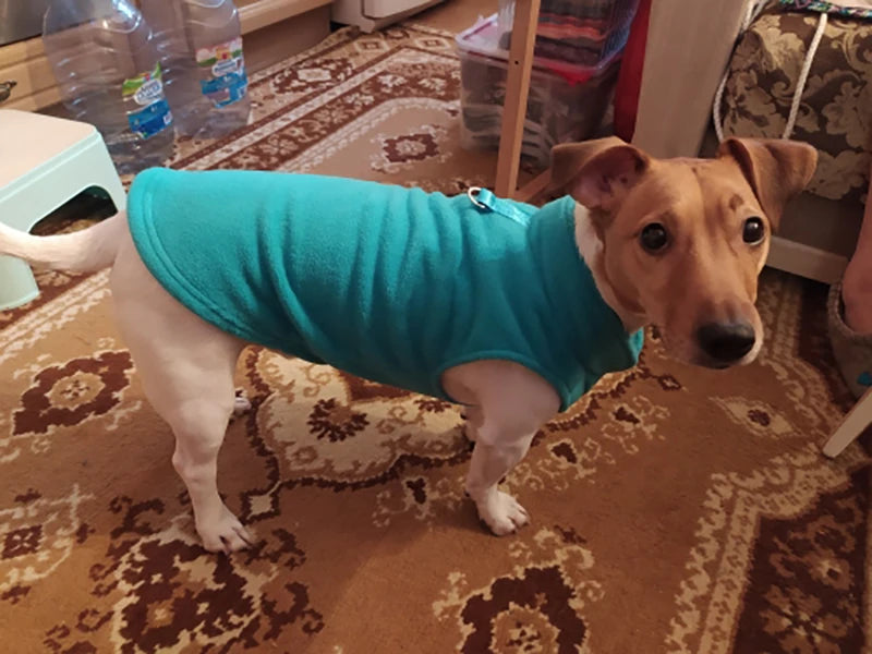 Warm Winter French Bulldog Vest Puppy Cat Clothing Pug Costumes Jacket For Small Dogs Chihuahua Fleece Pet Clothes ropa perro