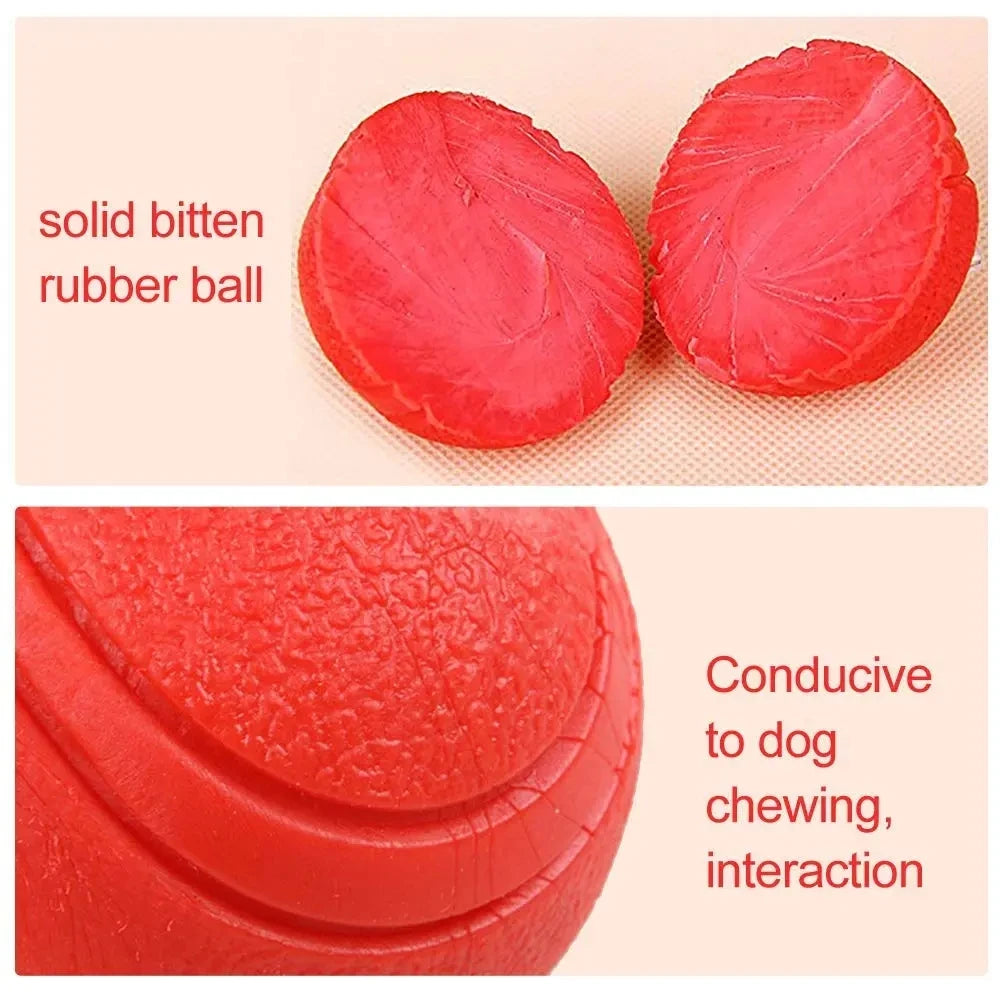 S-XL Sizes Solid Rubber Balls Bouncy Ball Bite Resistant Indestructible Dog Training Interactive Ball Pet Toy Molar Ball