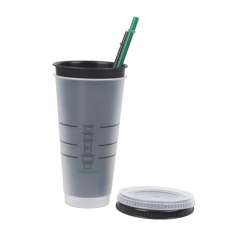 Drink Change Color Straw Mugs with Lid Plastic Tumbler Matte coffe bottle Cup