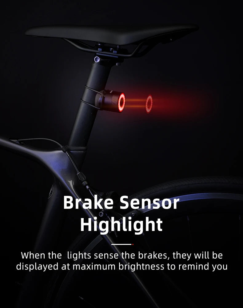 ROCKBROS Smart Brake Bicycle Tail Light MTB Road Seatpost Saddle Bike Rear Light Waterproof USB Charging Cycling Taillight