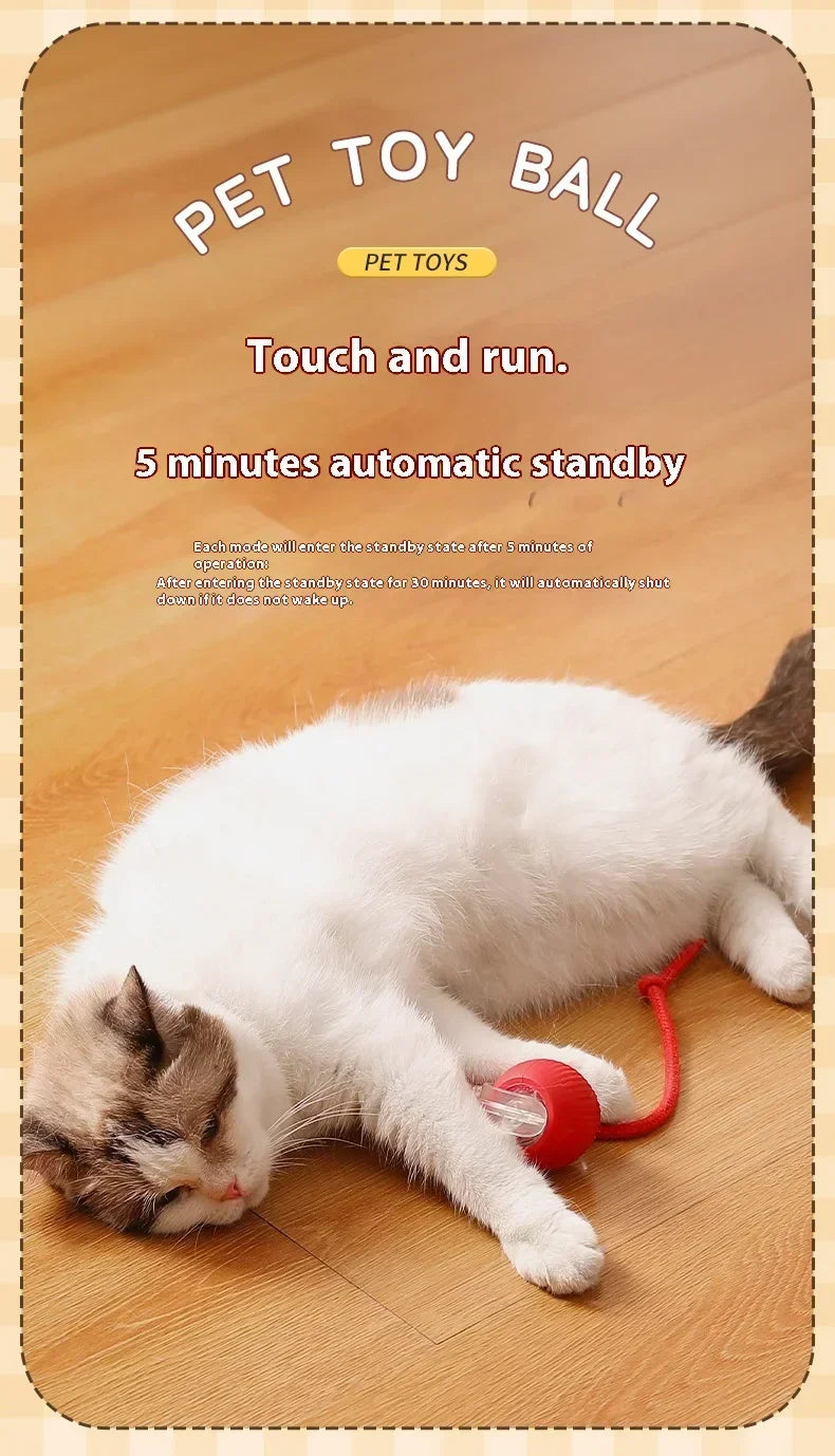 Cat Interactive Ball Toy Automatic Rolling Ball Faux Tail Rechargeable Smart Pet Electric Toy Dog Cat Training Imitate Mouse