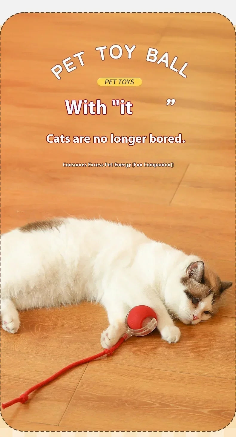 Cat Interactive Ball Toy Automatic Rolling Ball Faux Tail Rechargeable Smart Pet Electric Toy Dog Cat Training Imitate Mouse