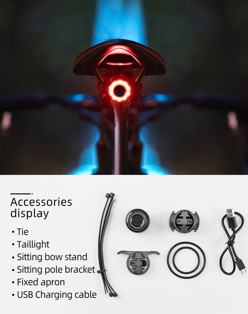 ROCKBROS Smart Brake Bicycle Tail Light MTB Road Seatpost Saddle Bike Rear Light Waterproof USB Charging Cycling Taillight