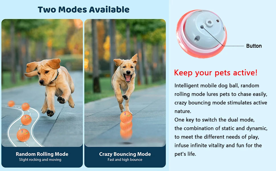 Active Roling Ball for Dogs - 2.2" Sturdy Motion Actived Interactive Dog Ball for Puppy/Small/Medium Dogs, USB Rechargeable Ball