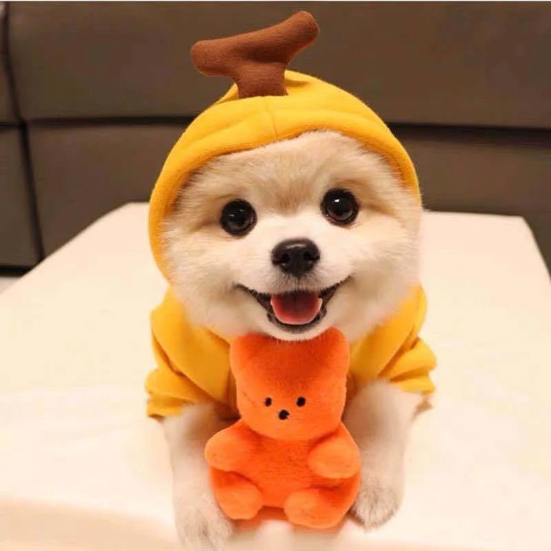 Cosplay Pet Clothes Dog Hoodies Clothing For Small Dog Coat Jacket Puppy Cat Costume Chihuahua Yorkie Clothes