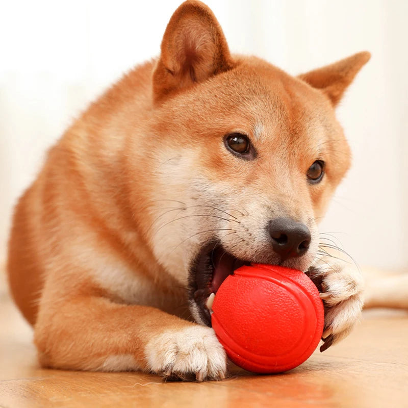 S-XL Sizes Solid Rubber Balls Bouncy Ball Bite Resistant Indestructible Dog Training Interactive Ball Pet Toy Molar Ball