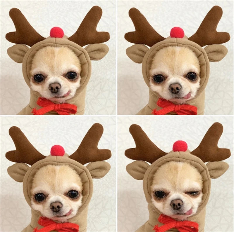 Cosplay Pet Clothes Dog Hoodies Clothing For Small Dog Coat Jacket Puppy Cat Costume Chihuahua Yorkie Clothes