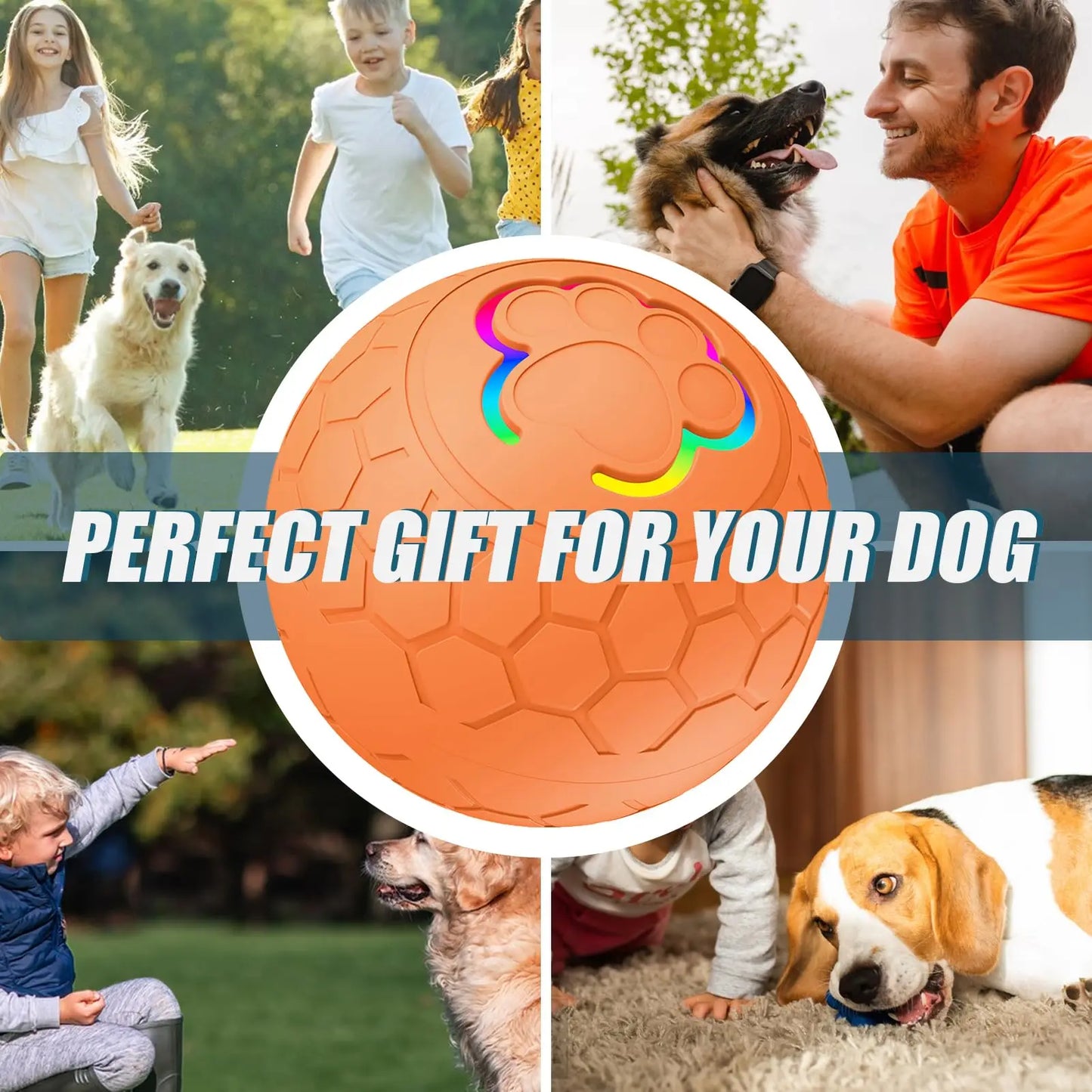 Active Roling Ball for Dogs - 2.2" Sturdy Motion Actived Interactive Dog Ball for Puppy/Small/Medium Dogs, USB Rechargeable Ball