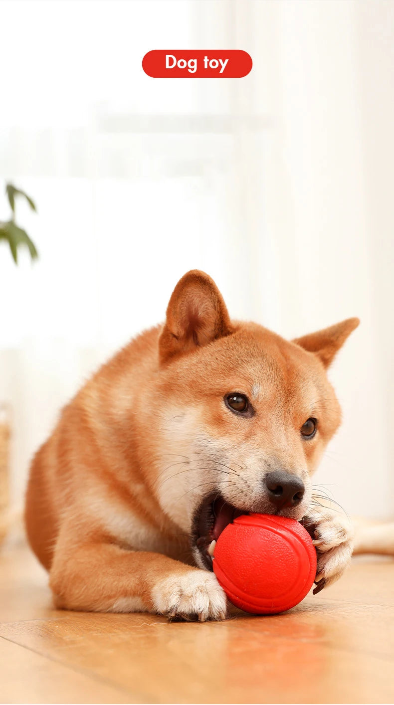 S-XL Sizes Solid Rubber Balls Bouncy Ball Bite Resistant Indestructible Dog Training Interactive Ball Pet Toy Molar Ball