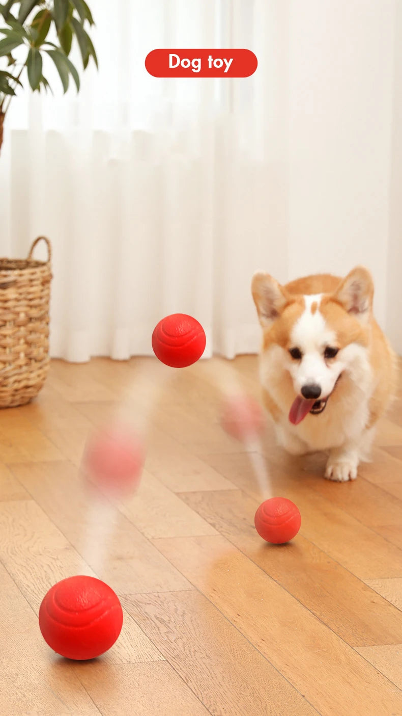 S-XL Sizes Solid Rubber Balls Bouncy Ball Bite Resistant Indestructible Dog Training Interactive Ball Pet Toy Molar Ball