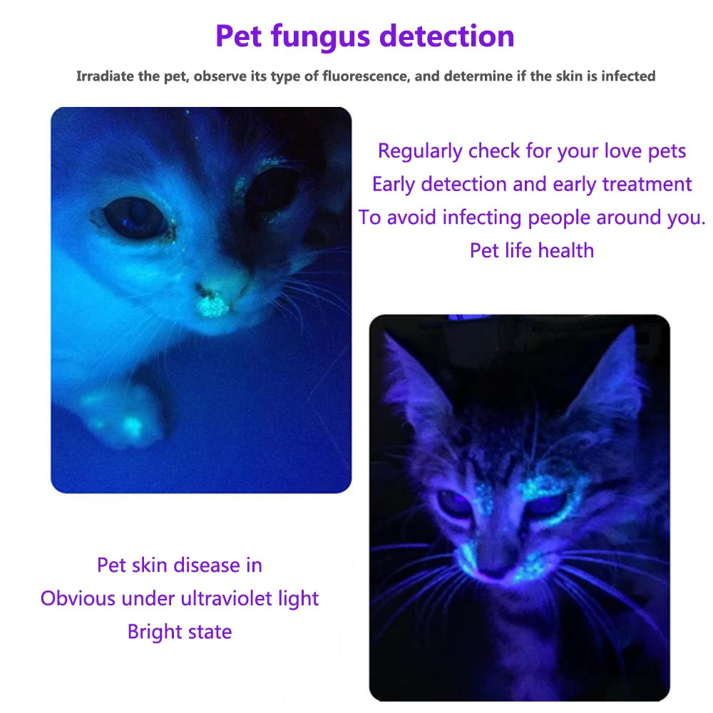 3W 365nm UV Flashlight USB Rechargeable Ultraviolet Torch Pets Urine Cat tinea Money Ore Scorpion Detection Black Light SV57