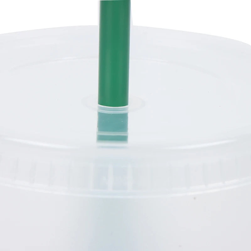 Drink Change Color Straw Mugs with Lid Plastic Tumbler Matte coffe bottle Cup