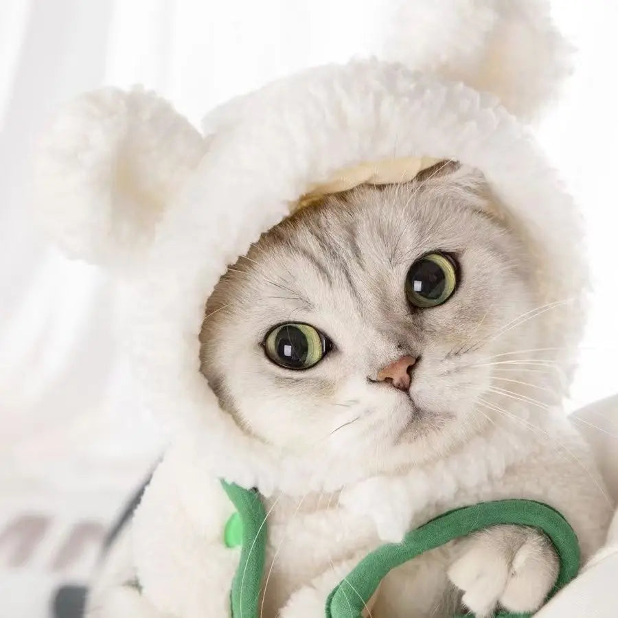 Cute Bear Rabbit Hooded Pet Cat Dog Accessories Cosplay Cat Hat Winter Lovely New Year Puppy Headgear Soft Velvet Pets Supplies