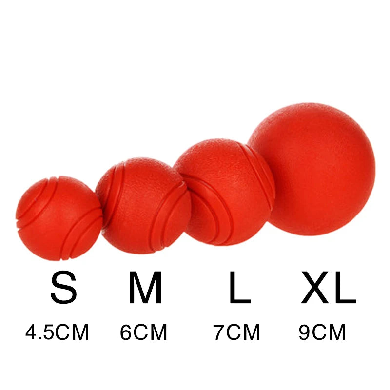 S-XL Sizes Solid Rubber Balls Bouncy Ball Bite Resistant Indestructible Dog Training Interactive Ball Pet Toy Molar Ball