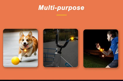 LED Pet Dog Cat Collar Pendant Night Safety Cat Luminous Light IPX7 Waterproof Flashing Harness With Light for Dog Accessories