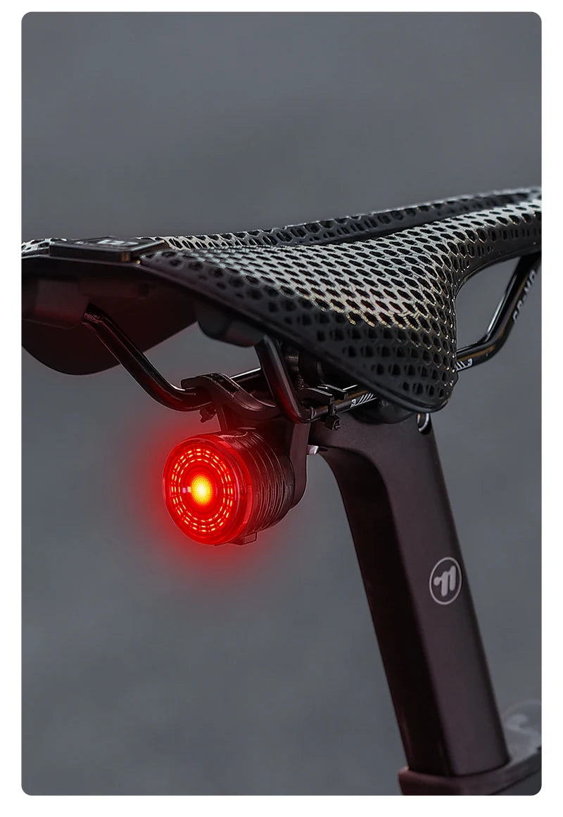 WEST BIKING Smart Brake Bike Tail Light Intelligent Type-C Charging Portable Safety Night Cycling Rear Light Bike Accessories