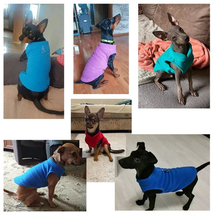 Warm Winter French Bulldog Vest Puppy Cat Clothing Pug Costumes Jacket For Small Dogs Chihuahua Fleece Pet Clothes ropa perro