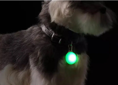Led Luminous Dog Cat Collar Glowing Pendant Pet Leads Glow Accessories Bright Necklace Luminous Collar Night Safety Decoration