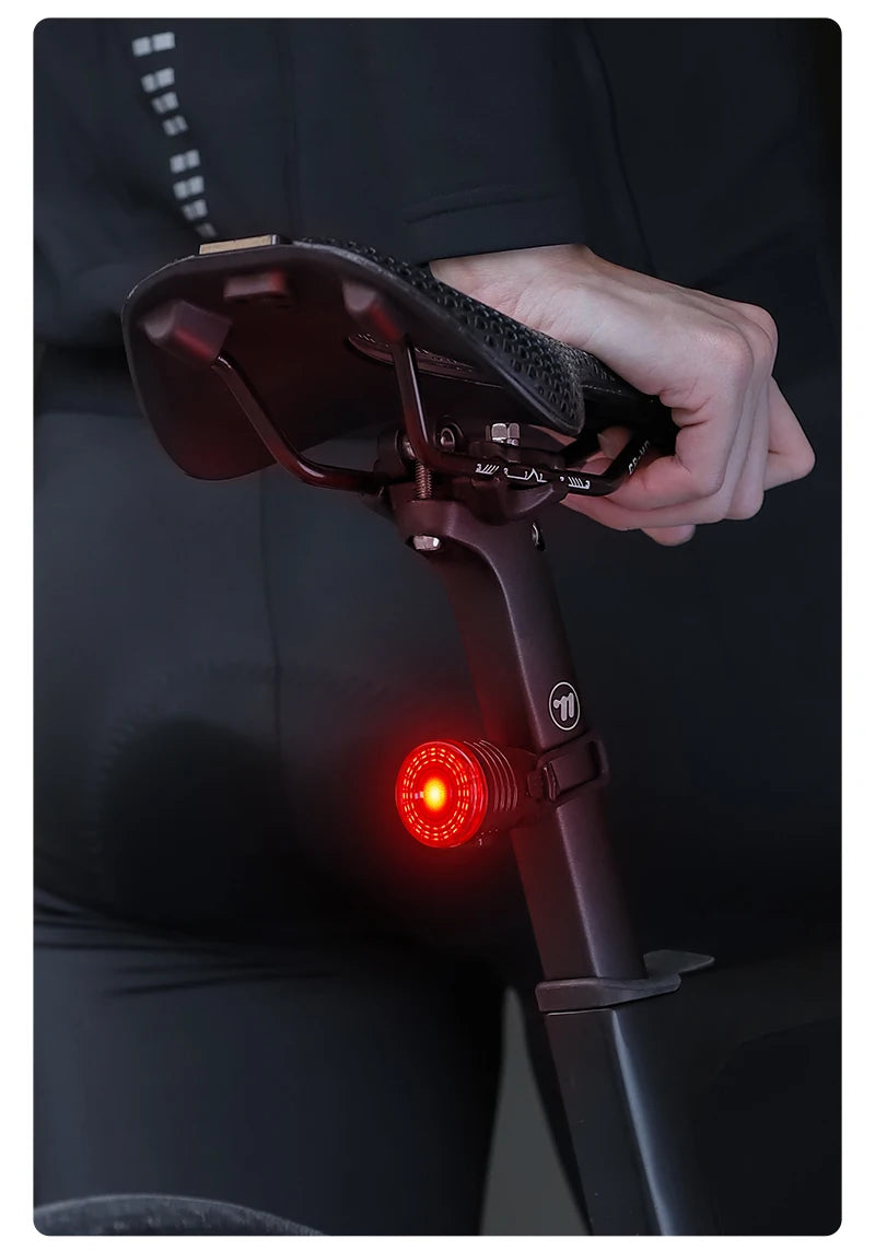 WEST BIKING Smart Brake Bike Tail Light Intelligent Type-C Charging Portable Safety Night Cycling Rear Light Bike Accessories
