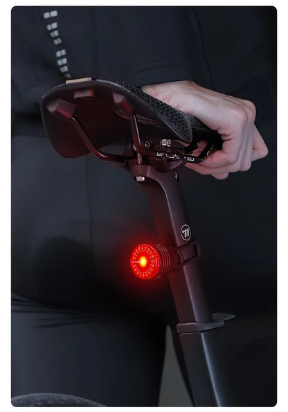 WEST BIKING Smart Brake Bike Tail Light Intelligent Type-C Charging Portable Safety Night Cycling Rear Light Bike Accessories