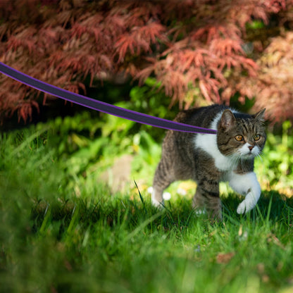 1.5M5M/3M/15M Medium small Long Dog Leash Latex Silk Easy and Convenient Training Big Dual color dog leash 10 meters