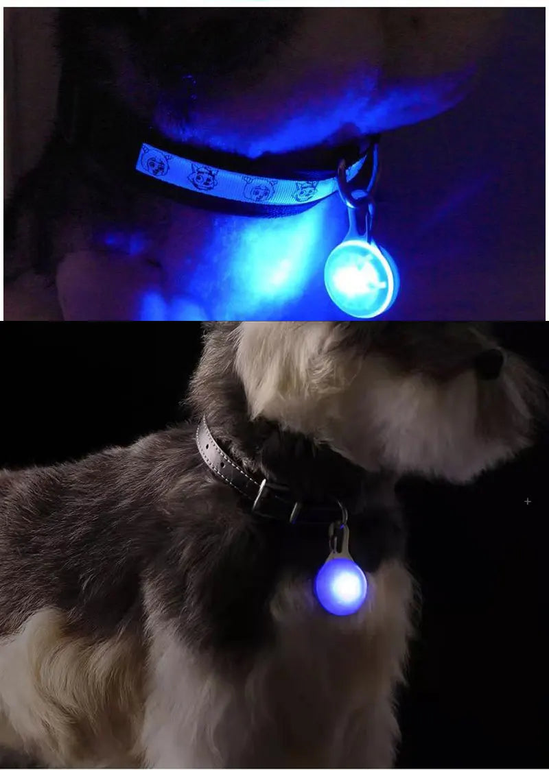 Led Luminous Dog Cat Collar Glowing Pendant Pet Leads Glow Accessories Bright Necklace Luminous Collar Night Safety Decoration