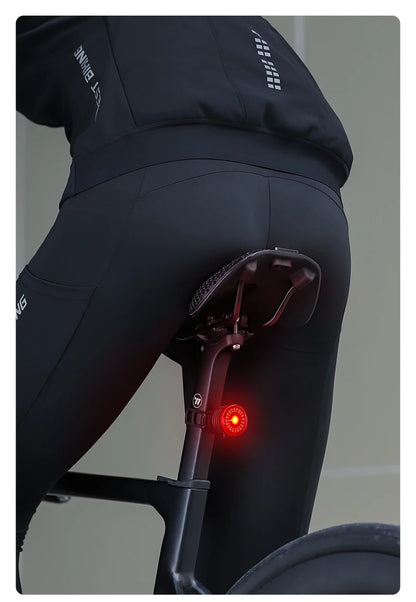 WEST BIKING Smart Brake Bike Tail Light Intelligent Type-C Charging Portable Safety Night Cycling Rear Light Bike Accessories