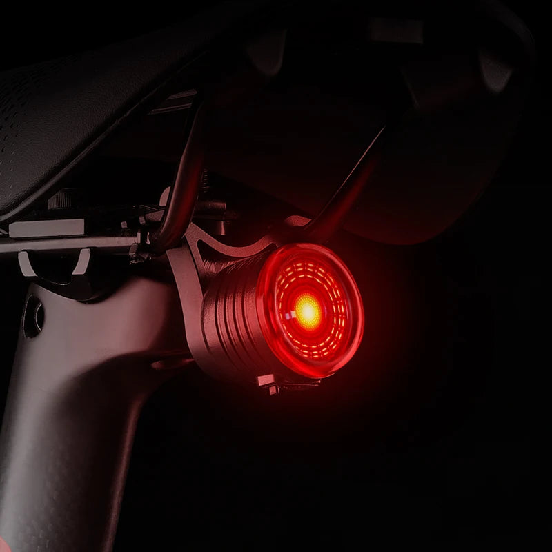 WEST BIKING Bike Rear Light Smart Brake Sensing Light Bicycle Tail Light Type-C Charging Taillight Road Cycling Accessories